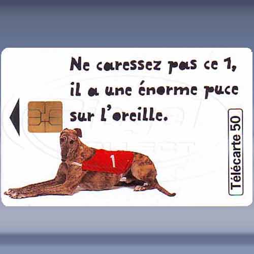 Loto Chien