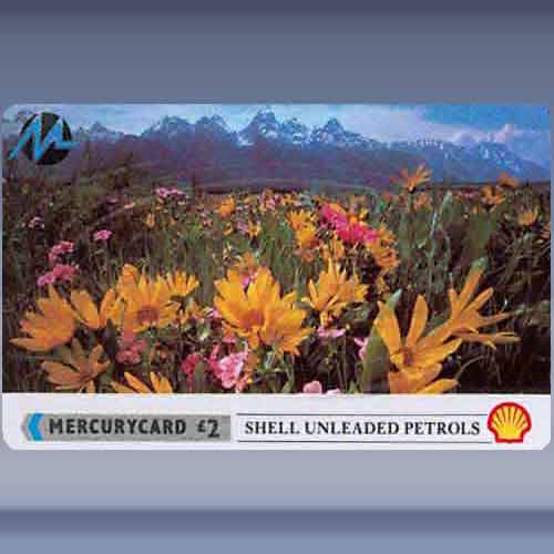 Shell Unleaded - Flowers