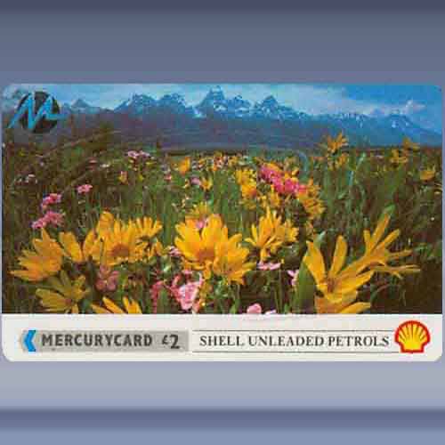 Shell Unleaded - Flowers (Barcode)