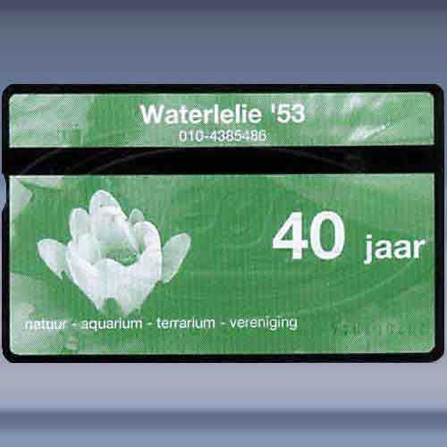 Waterlelie '53