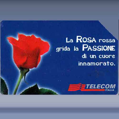 Messaggi Floreali - Rosa