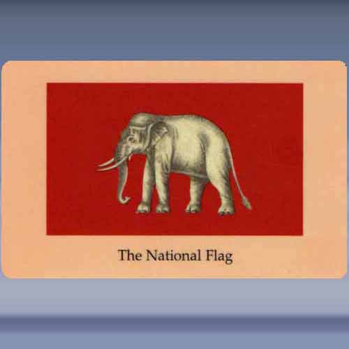 The National Flag